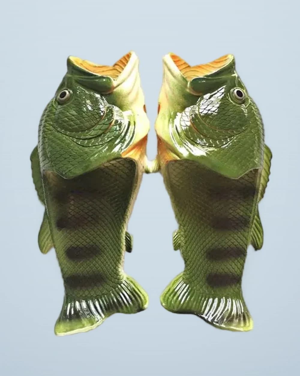 Fish Slides